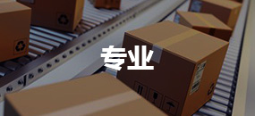 专业